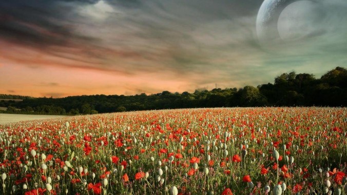 中年女性如何保持身材？